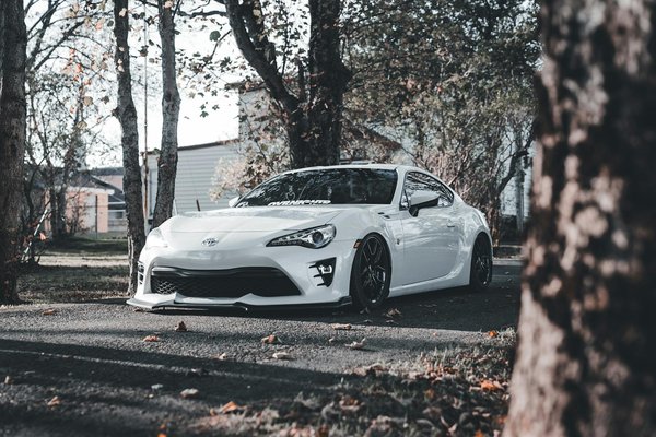 Strategien zur Steigerung des öffentlichen Bewusstseins für den Schutz von Feuchtgebieten: Eine umfassende Kampagnenplanung