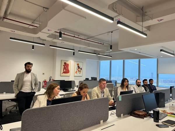 Tipps zur Vorbeugung von Haarballen bei Langhaarkatzen: So bleibt das Fell gesund!