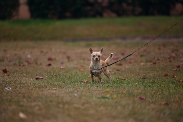 Nachhaltige Entdeckungsreise: So gestalten Sie Ihre perfekte Route durch die Weinregionen Deutschlands!